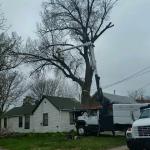 Tree Services of Omaha is a full service tree care provider in Omaha, Nebraska offering tree removal, tree trimming, stump removal, stump grinding, tree health care, and arborist consultations.