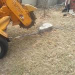 Tree Services of Omaha is a full service tree care provider in Omaha, Nebraska offering tree removal, tree trimming, stump removal, stump grinding, tree health care, and arborist consultations.